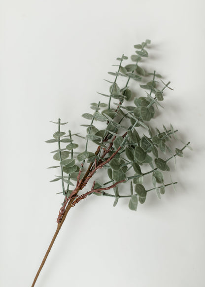 Eucalyptus Stem Light Green 18" Gifts