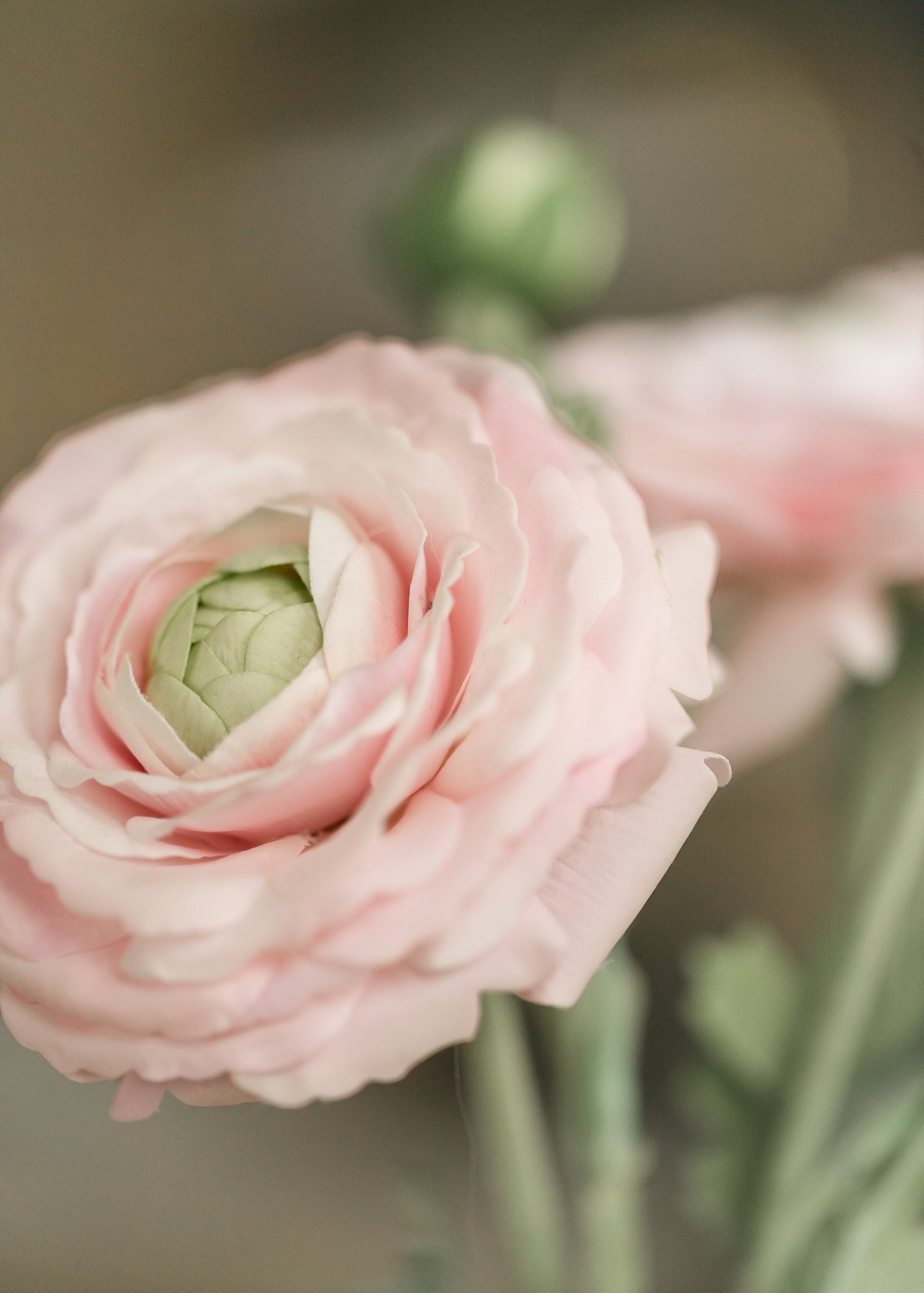 Real Touch Ranunculus Floral Stem Gifts