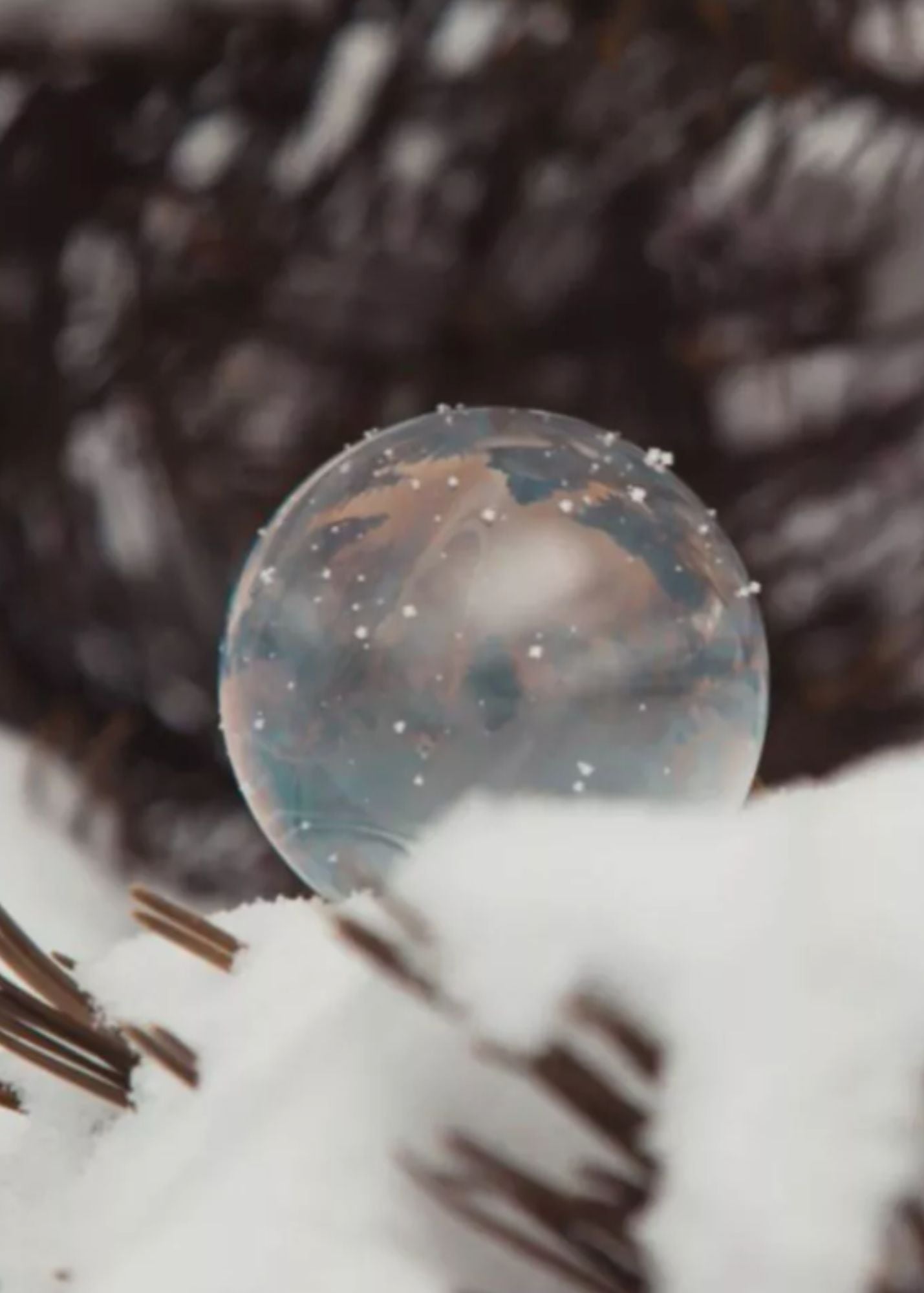 Stocking Stuffer Christmas Gift Freezing Bubbles Gifts