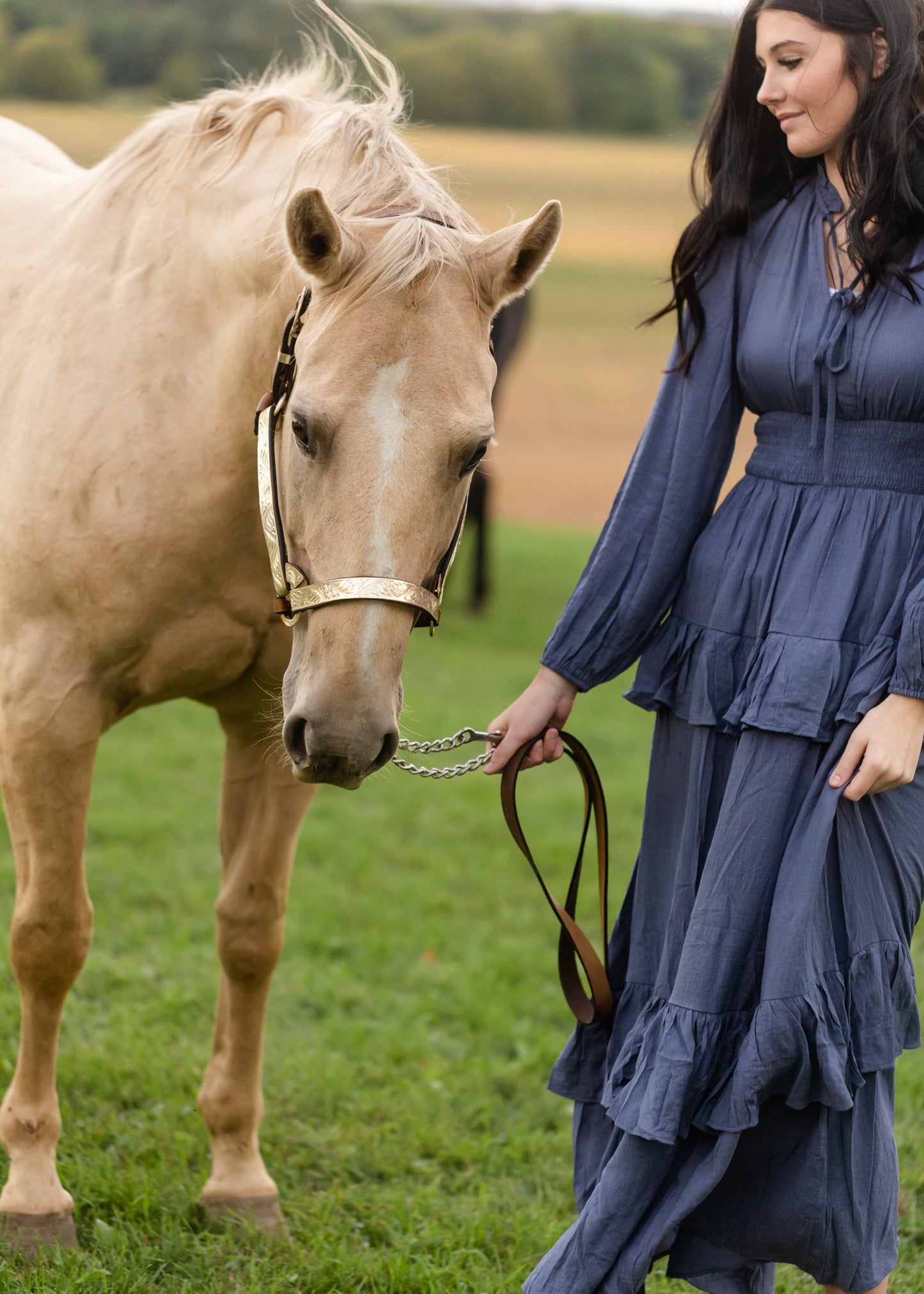 Long Sleeve Smocked Waist Tiered Maxi Dress Dresses Inherit