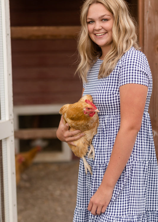 Navy Gingham Midi Dress Dresses